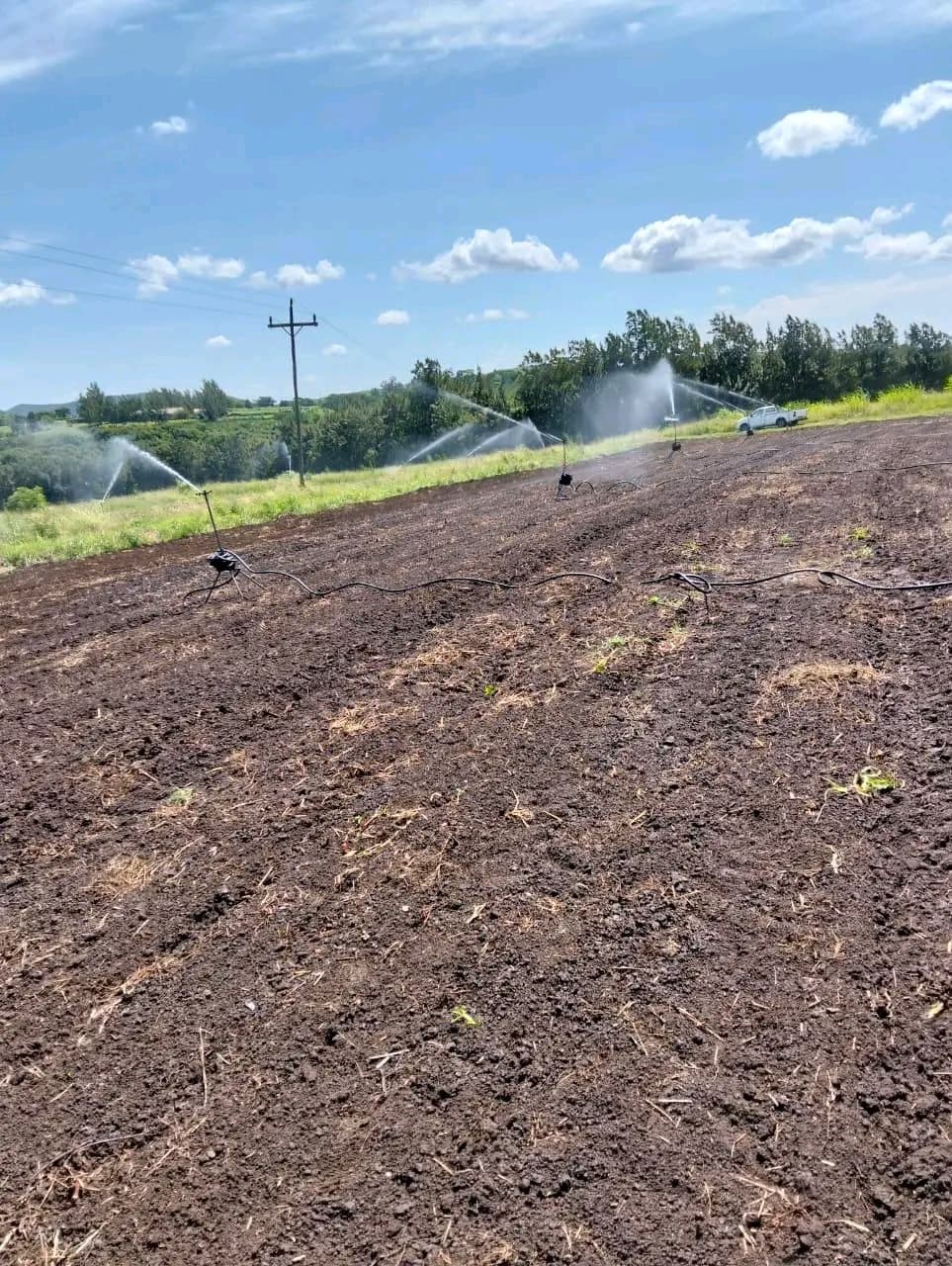 Sprinklers irrigate a large field of dark, tilled soil under a bright blue sky.